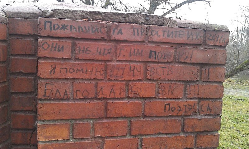 IMAG0160_1.jpg (499.28 Кб) Просмотров: 19821 IMAG0160_1.jpg