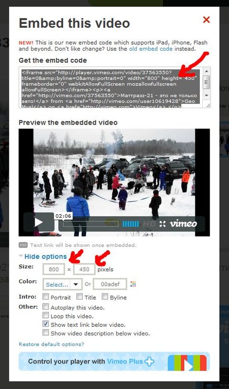vimeo3.JPG