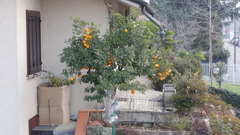 DSC01934.JPG (1.7 Мб) Просмотров: 29079 DSC01934.JPG