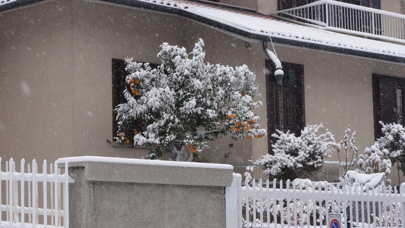 DSC01980.JPG (1.61 Мб) Просмотров: 29063 DSC01980.JPG