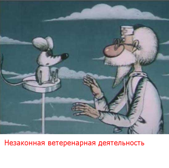 Image 23.png