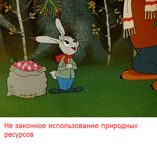 Image 25.png
