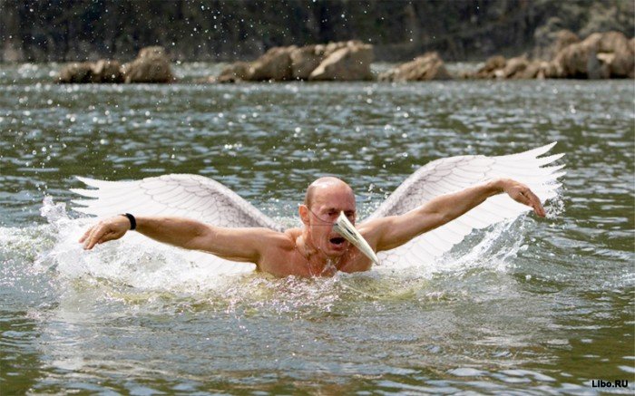  МЛЯ.jpg