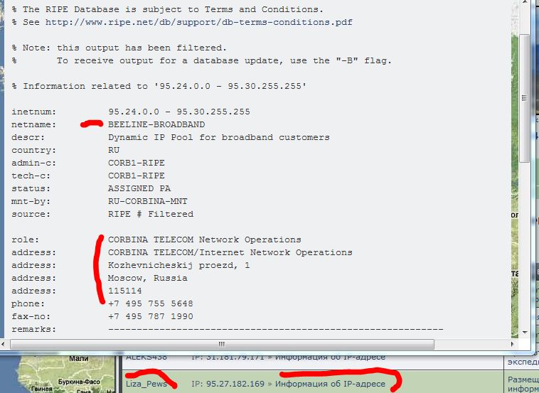  бот.JPG