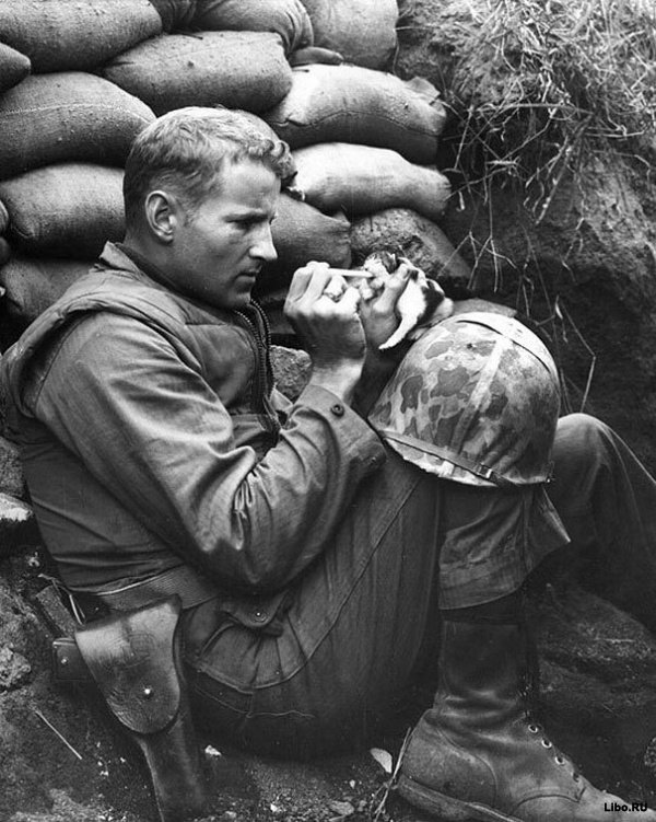  на войне.jpg