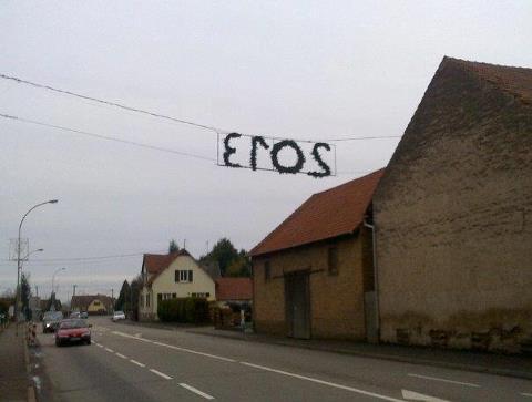 2013.jpg