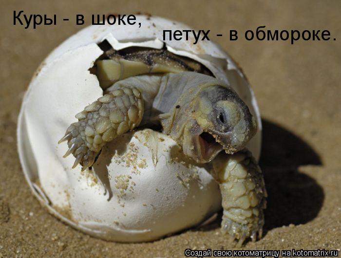 379052.jpg