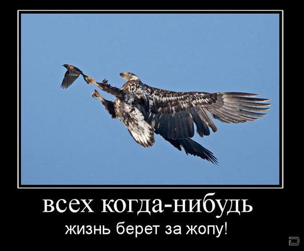 1257758135_40fdc2901510.png