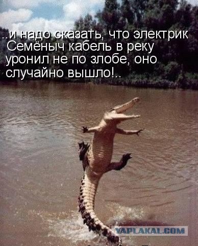 post-3-12538329976612.jpg