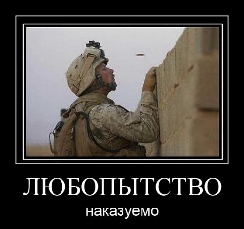  дура.jpg