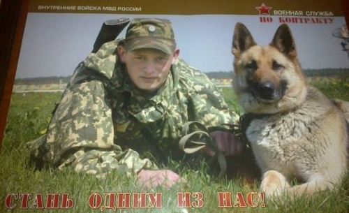  я собака.jpg