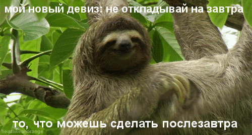 gifs_31.gif