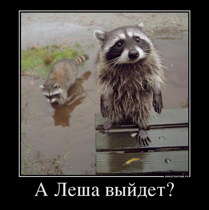  леша где.jpg