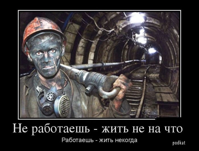  или работать.jpg
