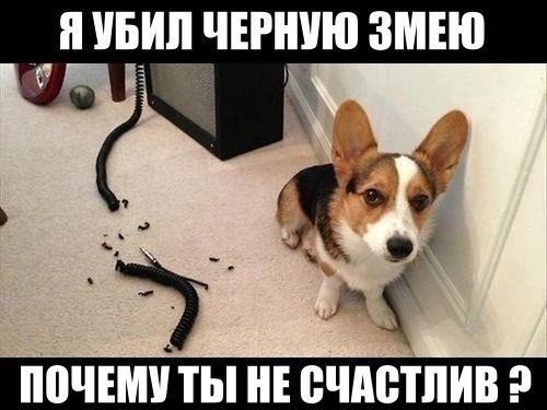 .jpg