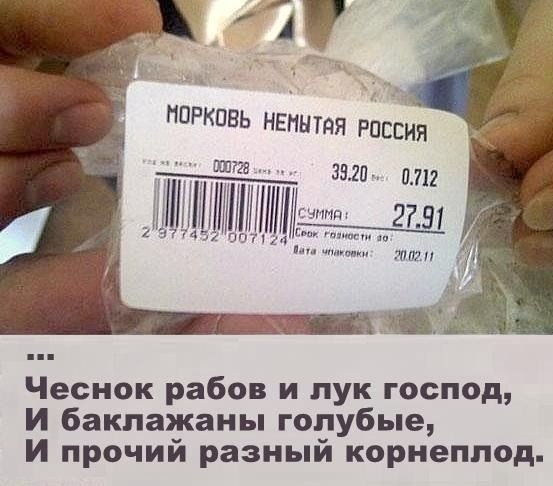 .jpg