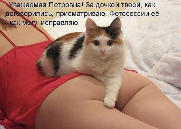 .jpg