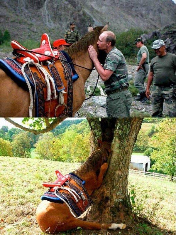  него мне не жить.jpg