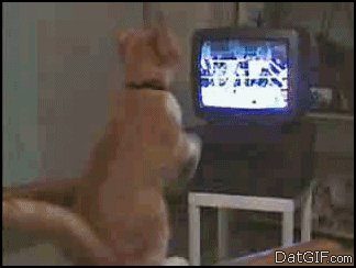 .gif