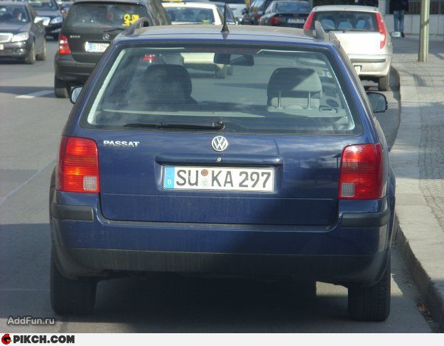 pics_n34lz.jpg