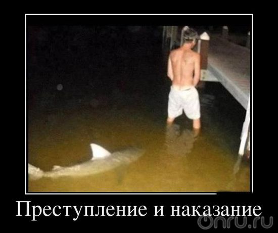 достоевскому.jpg