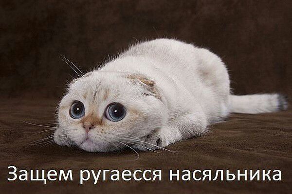 IMG_2013827_10506.jpg