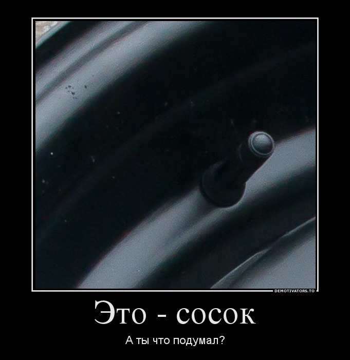 845051_eto-sosok_demotivators_ru.jpg