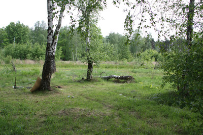 IMG_9187.JPG