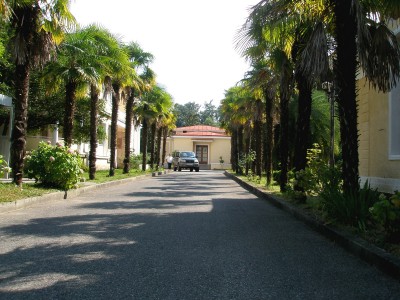 P7140368.jpg (761.95 Кб) Просмотров: 18041 P7140368.jpg