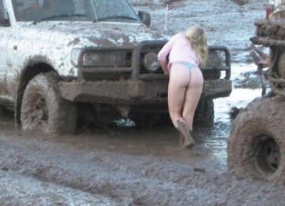 autozoo_16.jpg
