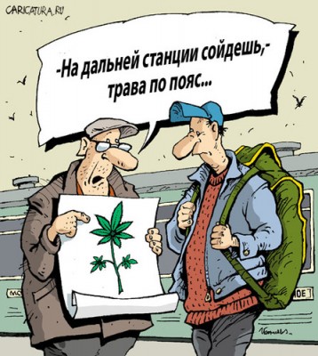 trava.jpg